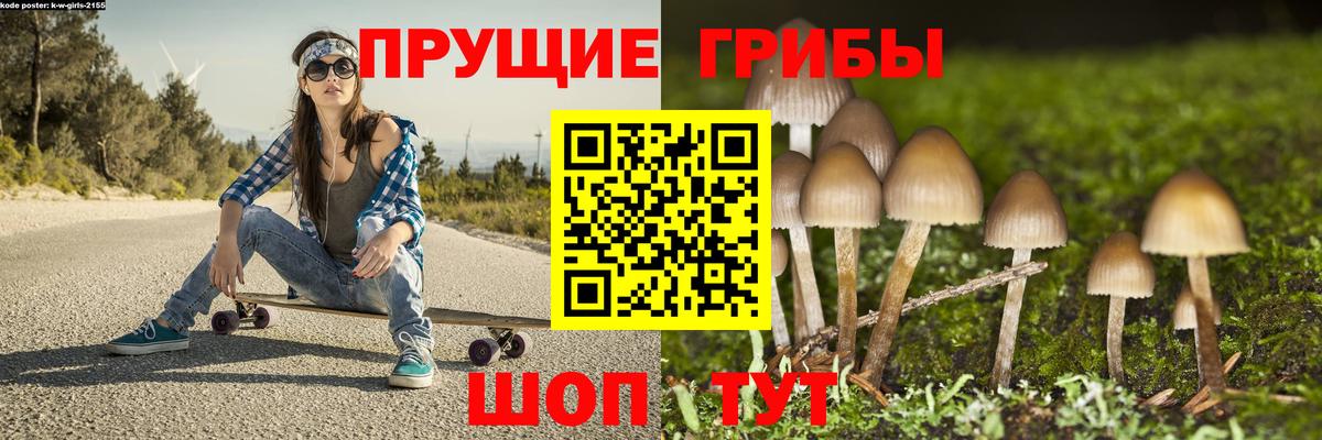 Санкт-Петербург  Псилоцибиновые грибы прущие грибы  Вход с VPN  Галлюциногенные грибы Cubensis 